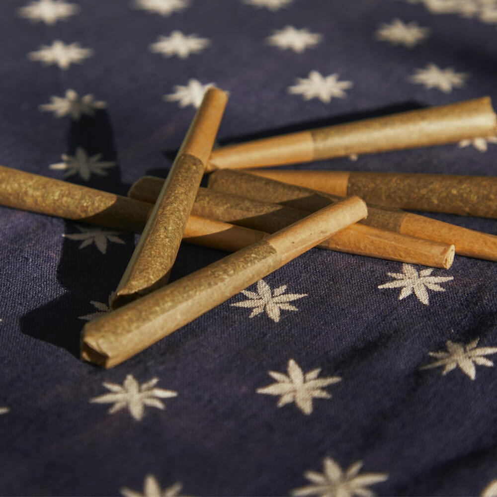 pexels-dad-grass-9290608